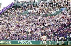 96233 B