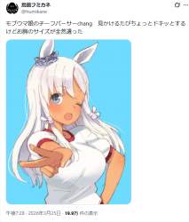 262566 B