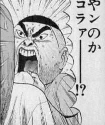 54995 B