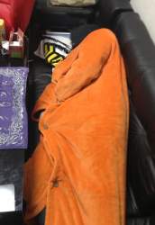 167813 B