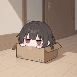 66497 B