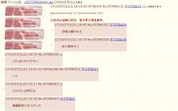 79586 B
