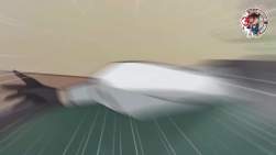 4069135 B