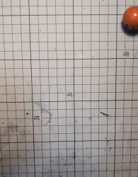 5016692 B