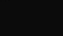 8183202 B