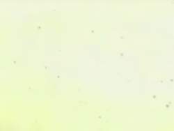 6870928 B