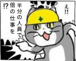65036 B