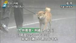 40396 B