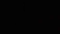8156811 B