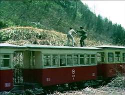 224931 B