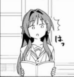24433 B