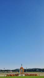 308271 B