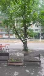 1062541 B