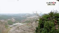 7972525 B