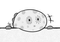 888086 B