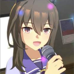 26233 B