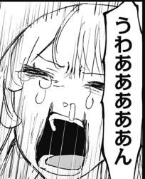 480855 B