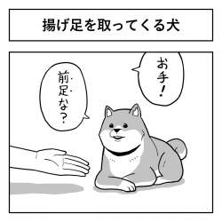 255345 B