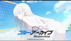 80816 B
