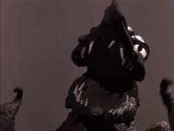 1626261 B