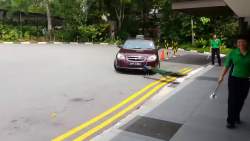 7224303 B