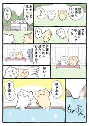 1504797 B