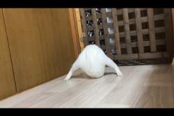 130592 B