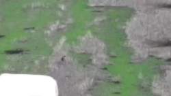 1078967 B