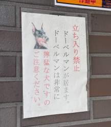 256971 B