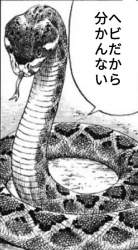 67075 B