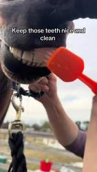 5687326 B