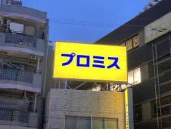 256295 B