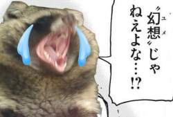545284 B