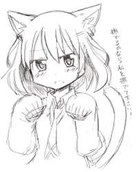 55988 B