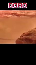 2629120 B
