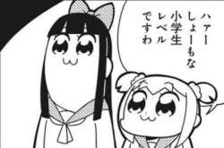 204266 B