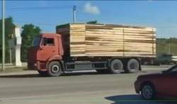 445013 B