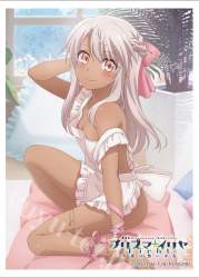 259273 B