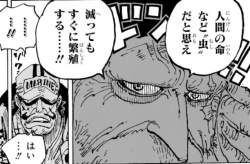81494 B