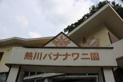 79596 B