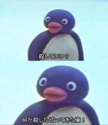 52043 B