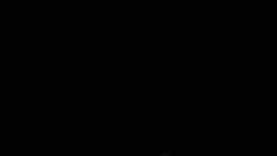 3741023 B