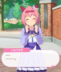 50591 B