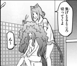 66238 B