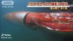 4754804 B