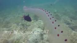 3452059 B