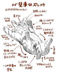 89541 B