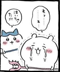 40533 B