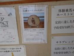 1356813 B