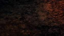 7737303 B
